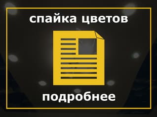 Натяжные потолки Спайка цветов